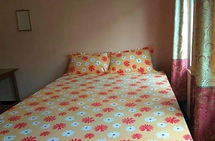 Hotel Family Peace House *